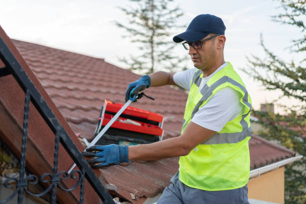 Best Basement Insulation  in Clinton, IL